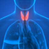 Your Thyroid: A Small Gland That Can Cause Big Problems